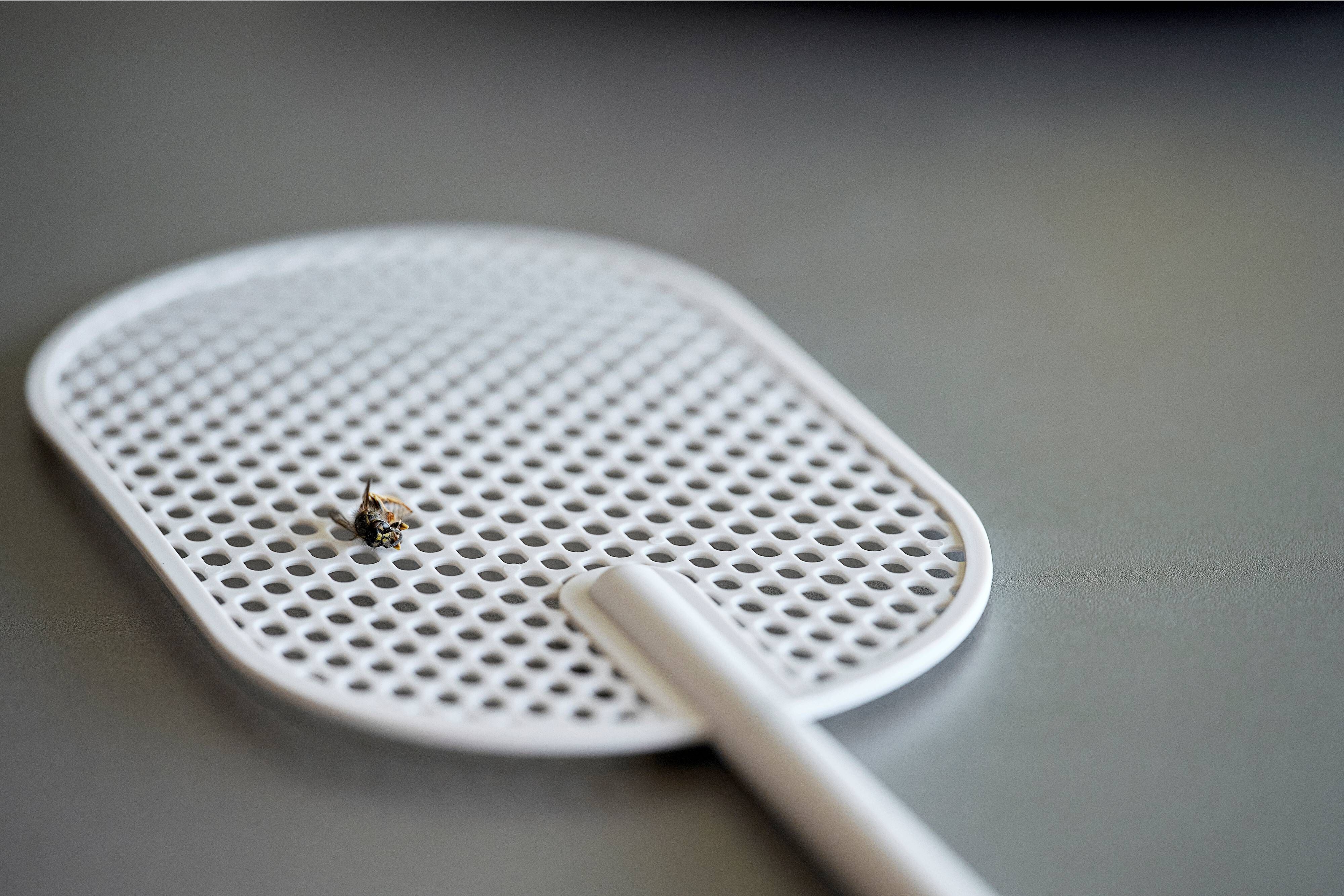 15117 мухобойка Zone Denmark Singles - Вид №1