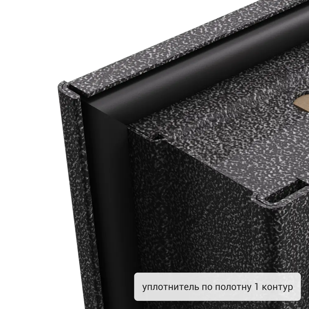 Дверь входная металлическая Страйд Уна 860 мм правая цвет черный TOREX STLM-2163294 - Вид №10