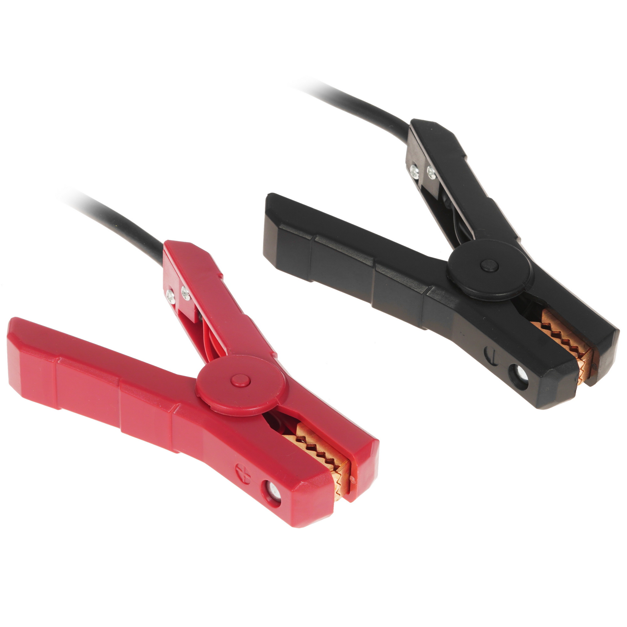 4893940 Зарядное устройство BERKUT Specialist BCA-25 STDN-0042829 - Вид №3