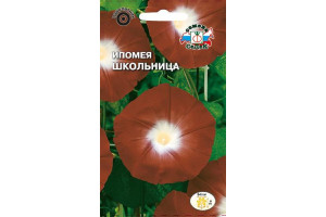 18407749 Семена Ипомея Школьница 00000015766 СеДек