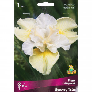 82319550 Ирис сибирский «Йеллоу Тейл», размер луковицы I