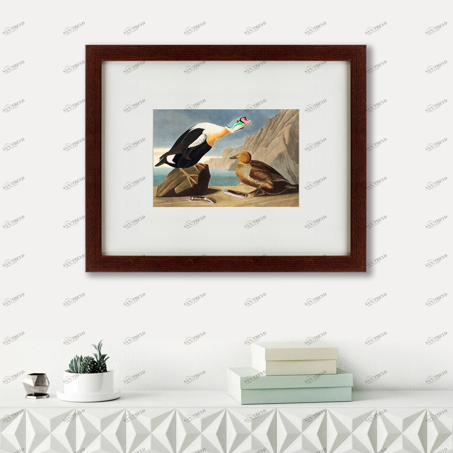 Картина: King Duck, 1827 КАРТИНЫ В КВАРТИРУ  191723 Разноцветный 