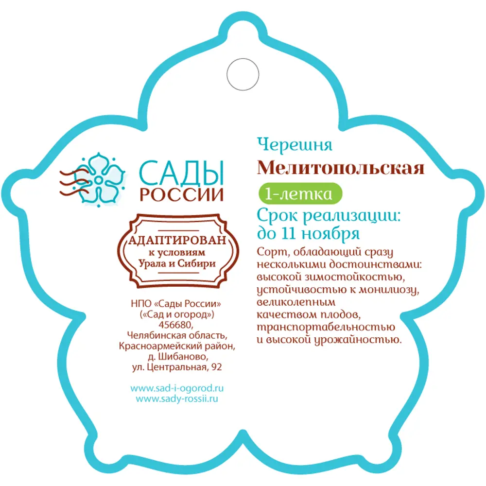 Черешня «Мелитопольская» 1 год 12.5x30-50 см 82610479 STLM-2085995 Santreyd  - Вид №1