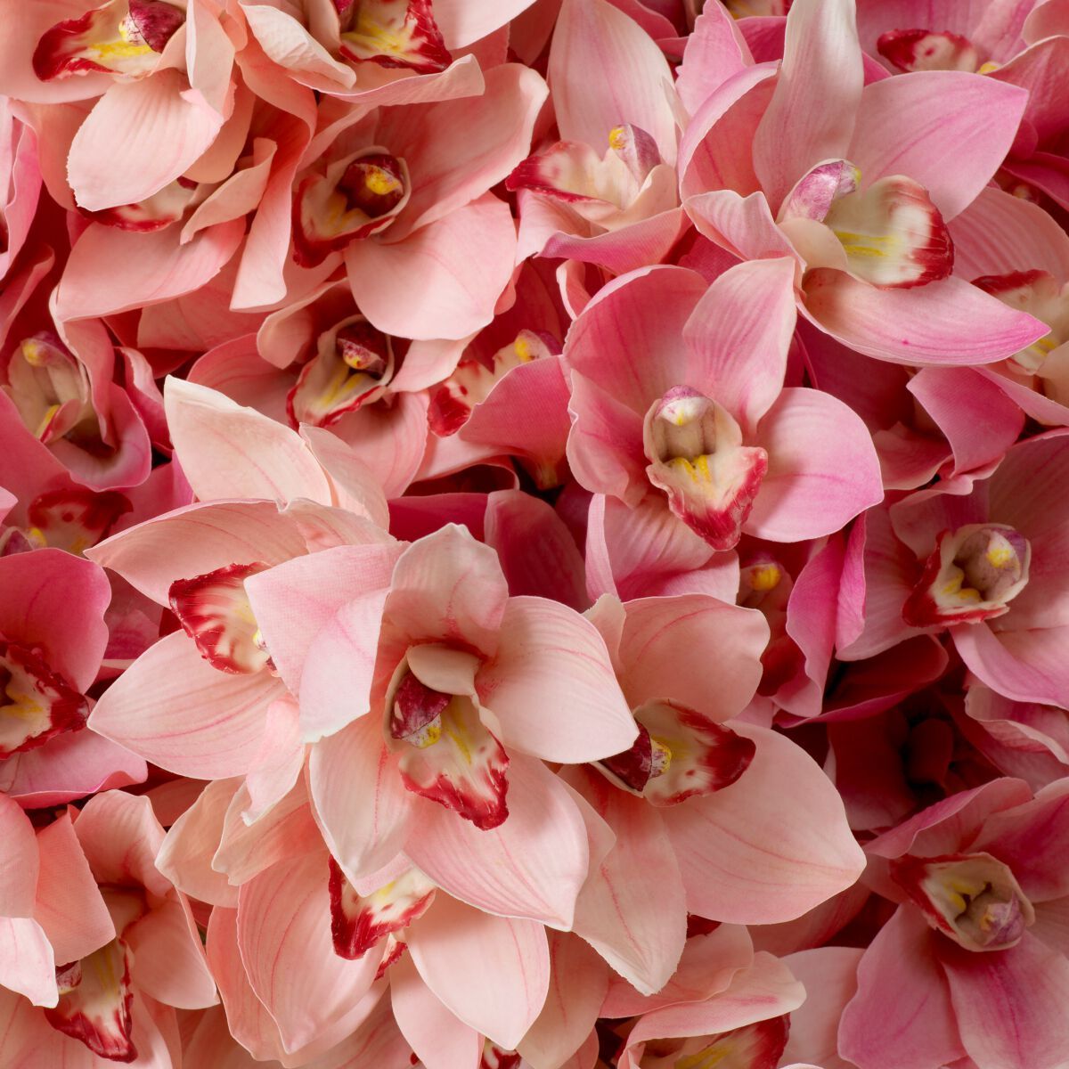 Искусственное растение Eichholtz BOUQUET OF CYMBIDIUM ORCHIDS ARCH-00077131 - Вид №5