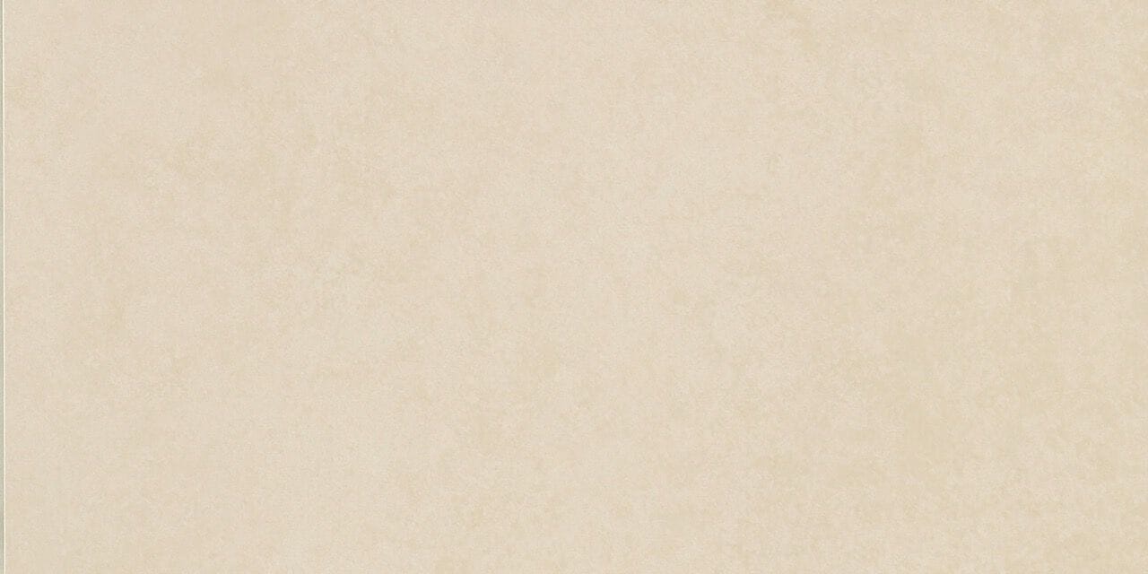 Пол / покрытие из глазурованной керамогранита с эффектом цемента RECER Time ARCH-00132093 - Вид №6