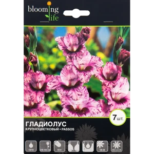 Гладиолус крупноцветковый Пассос 12/14, 7 шт 82539344 STLM-2012981