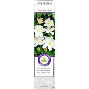 Клематис крупноцветковый Лемон Шифон 82527605 STLM-2152334