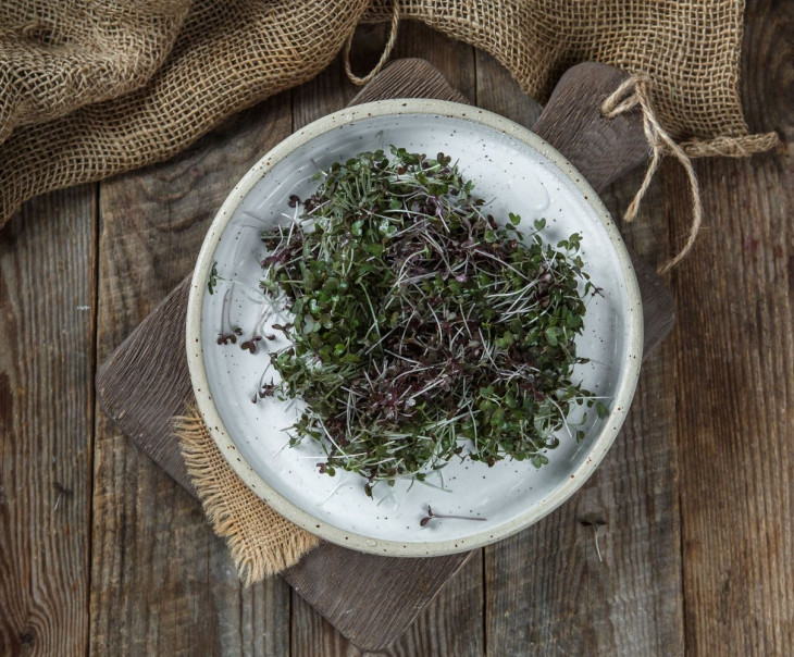 4678 Микрозелень Мизуны красной Вкусляндия 