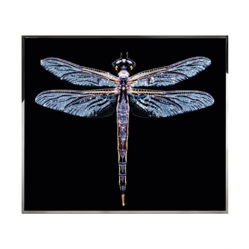 Libra Смешанная техника Visionnaire 