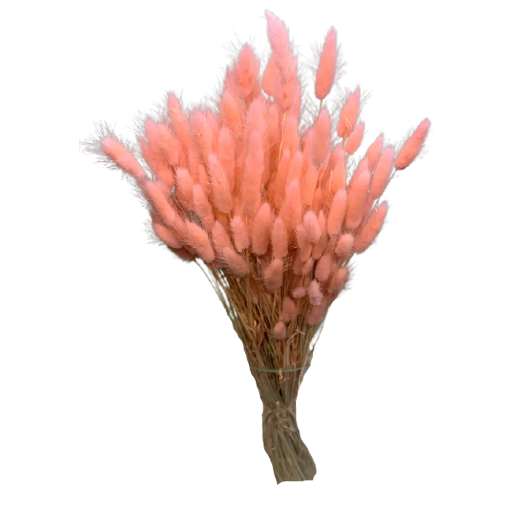 Букет из сухих цветов Лагурус микс 1 70 см Santreyd STLM-2132636 - Вид №10