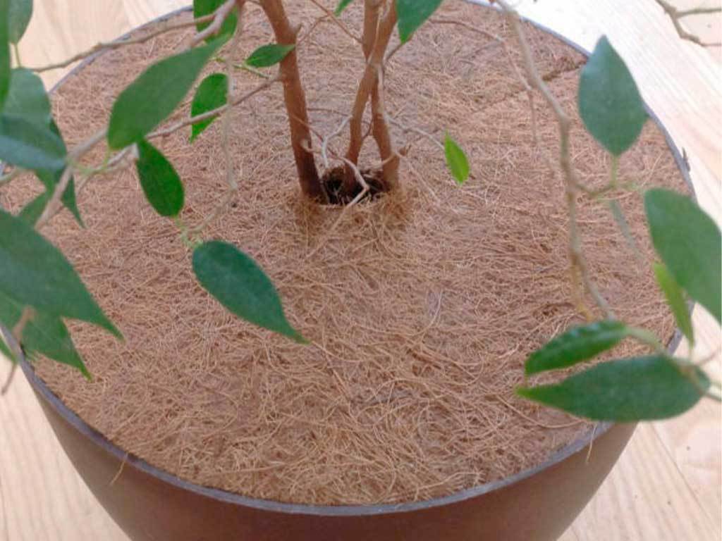 Круг приствольный Мульчаграм 30 см, комплект - 5шт ГеоПластБорд GPBST-234 - Вид №8