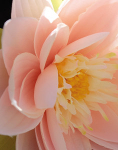 3899 500 a2 Искусственная кувшинка, 45 см, светло-розовая H-andreas