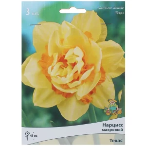 Нарцисс махровый «Техас», высота 40 см, 3 шт. 82000178 STLM-2191207