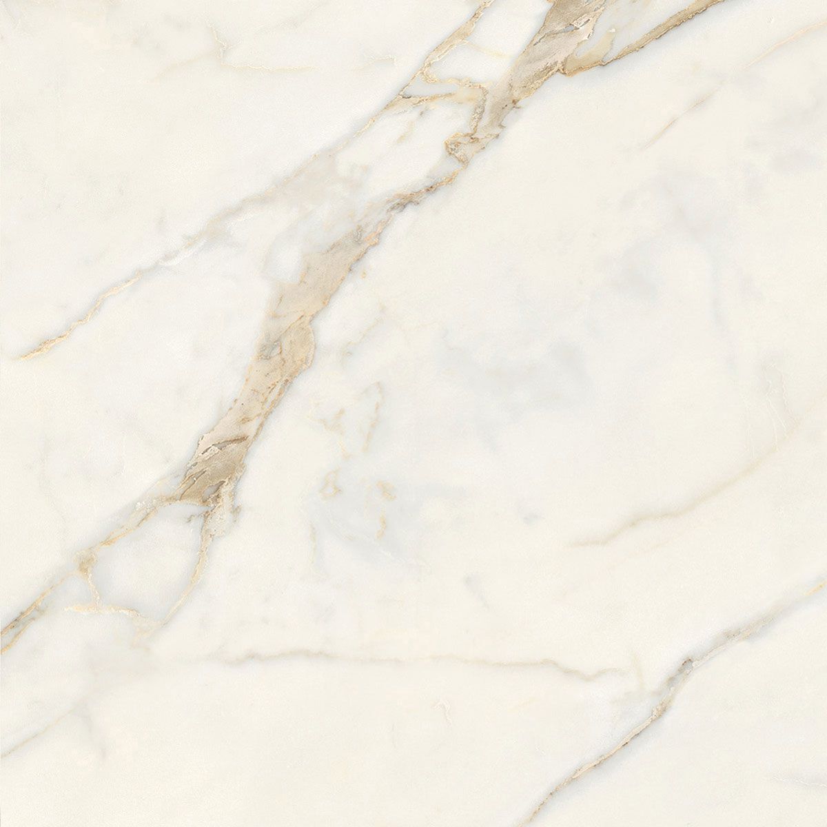 Пол / керамогранит с мраморным эффектом Italgraniti Marble Touch ARCH-00152884 - Вид №60