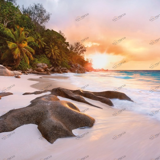 XXL4-048-Nature Фотообои Komar Into Illusions Edition 2 3.68х2.48 м XXL4048NATURE