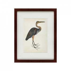 Картина: Heron (литография), 1822 КАРТИНЫ В КВАРТИРУ  135774 Разноцветный