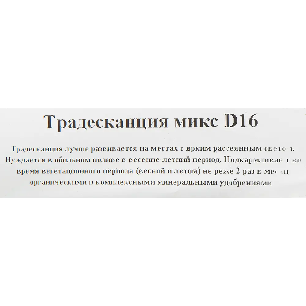 Santreyd Традесканция микс в подвесном кашпо - живой декор для интерьера 82560376 STLM-0029922 - Вид №2