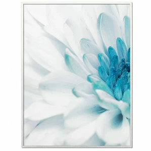 Постер прямоугольный на художественной бумаге 80х60 см "Красивая хризантема-1" EVENHOME ДИЗАЙНЕРСКИЕ 00-3878786 Белый;голубой