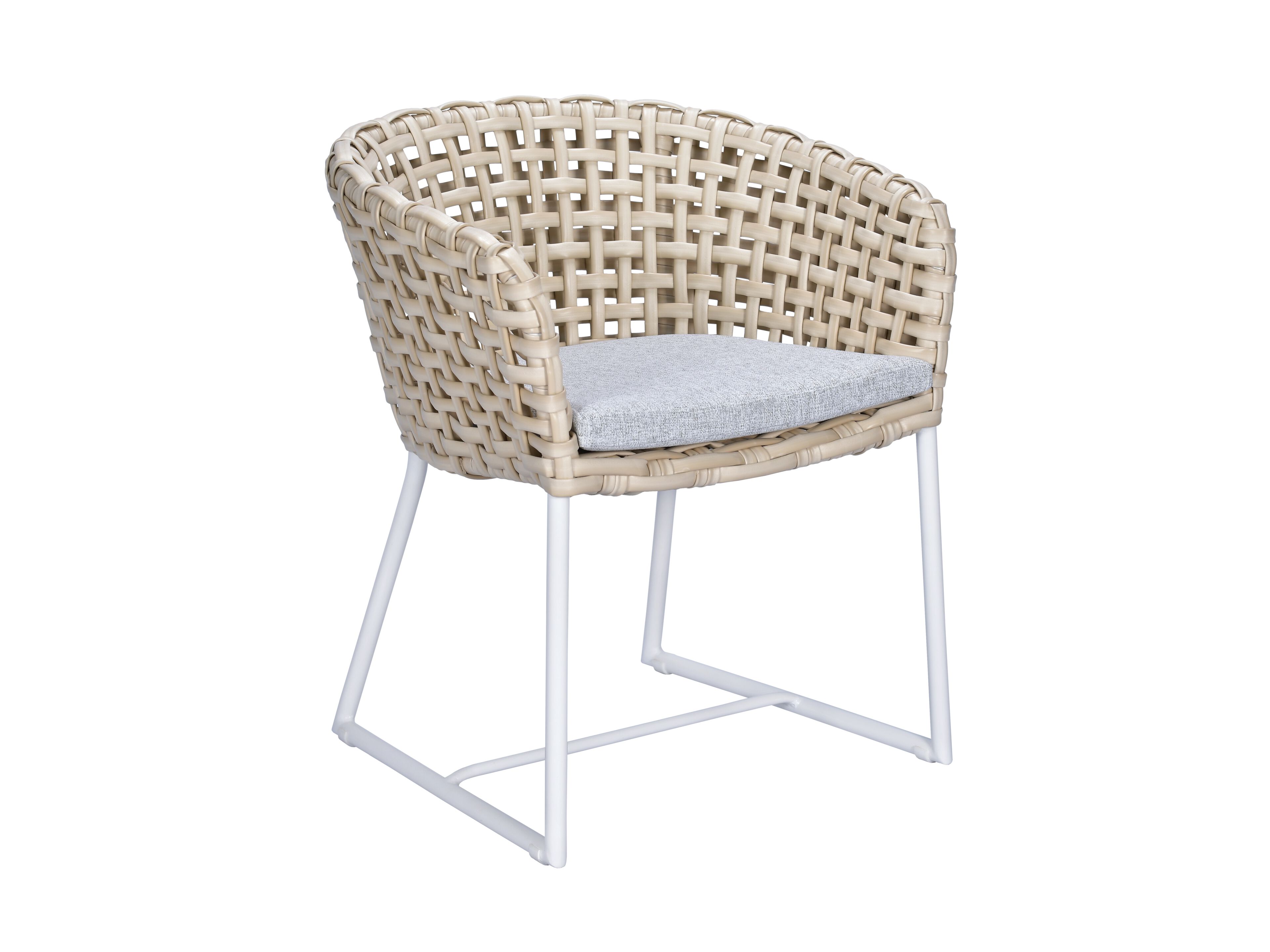 Ткань сани сад стул с подлокотниками cbdesign Fabion ARCH-00028689