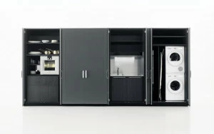 Boffi Кухонный / прачечный шкаф из дерева