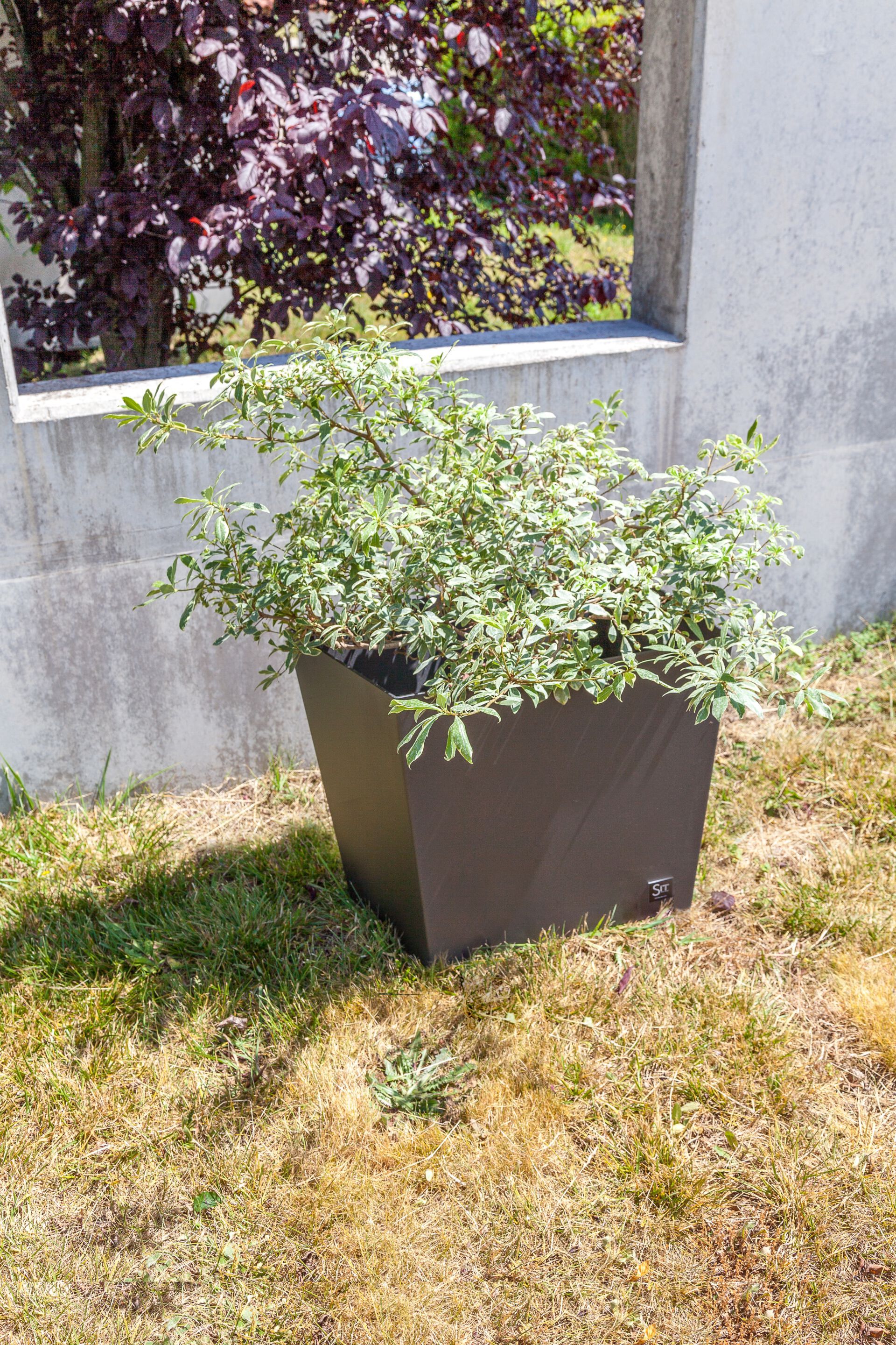 Железная плантатор SIT Skew ARCH-00139665 - Вид №3