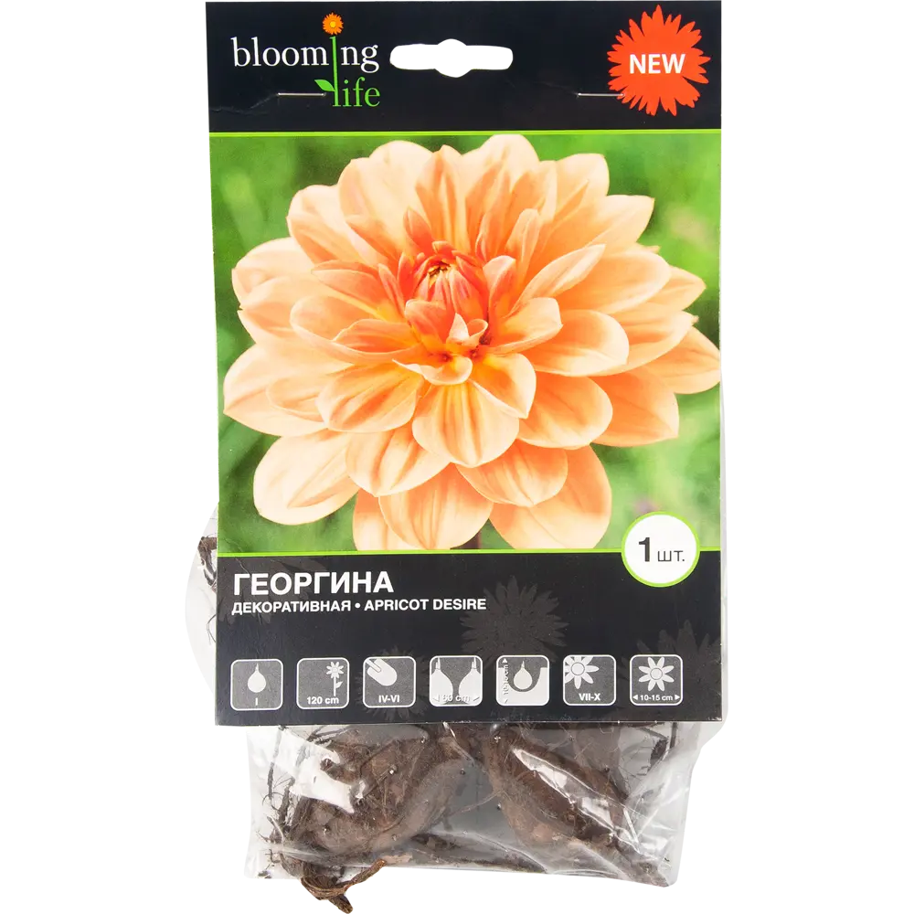 Георгина Эприкот Дезайя I, 1 шт 82539325 STLM-2059640 BLOOMING LIFE 