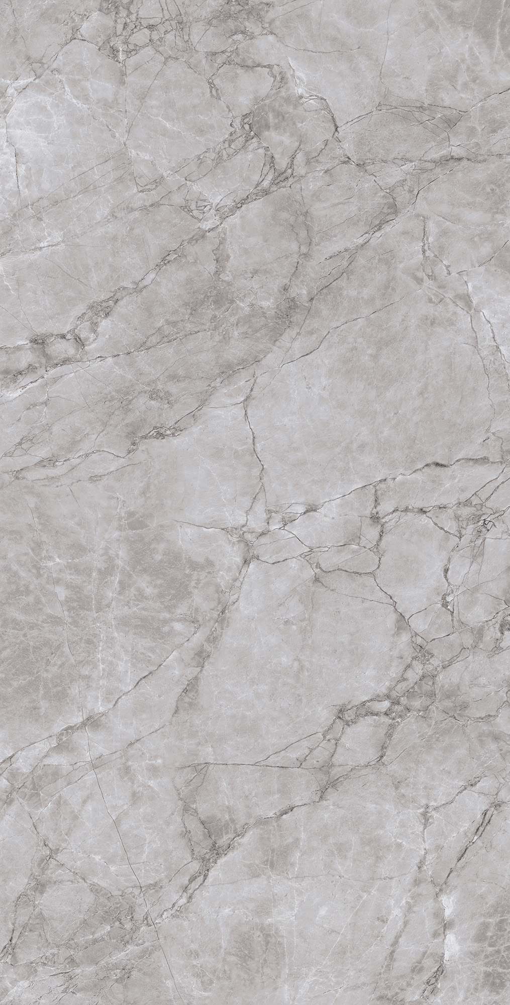 Керамогранит ARCTIC GREY LAPPATO 60х120 Arcadia Ceramica CL4005-A - Вид №1