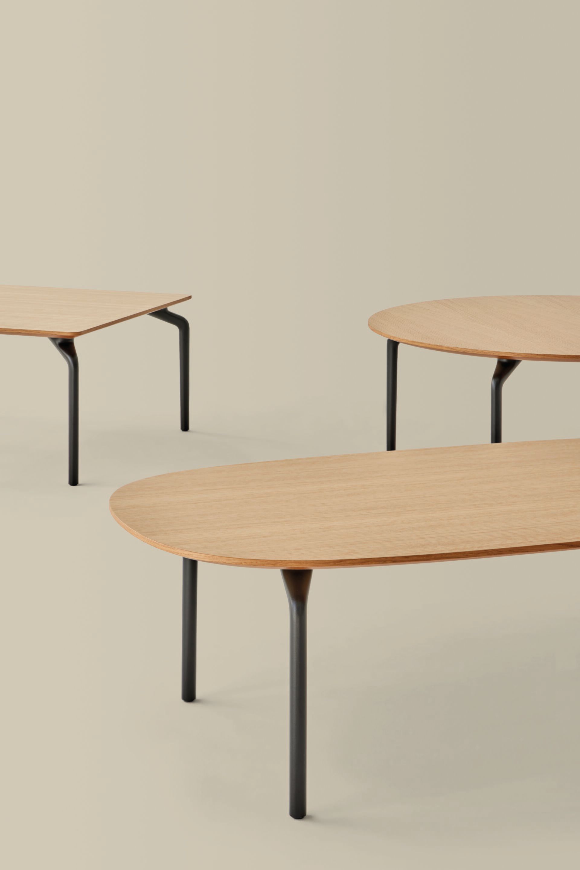 Деревянный низкий овальный журнальный столик INCLASS Kern ARCH-00068083 - Вид №4