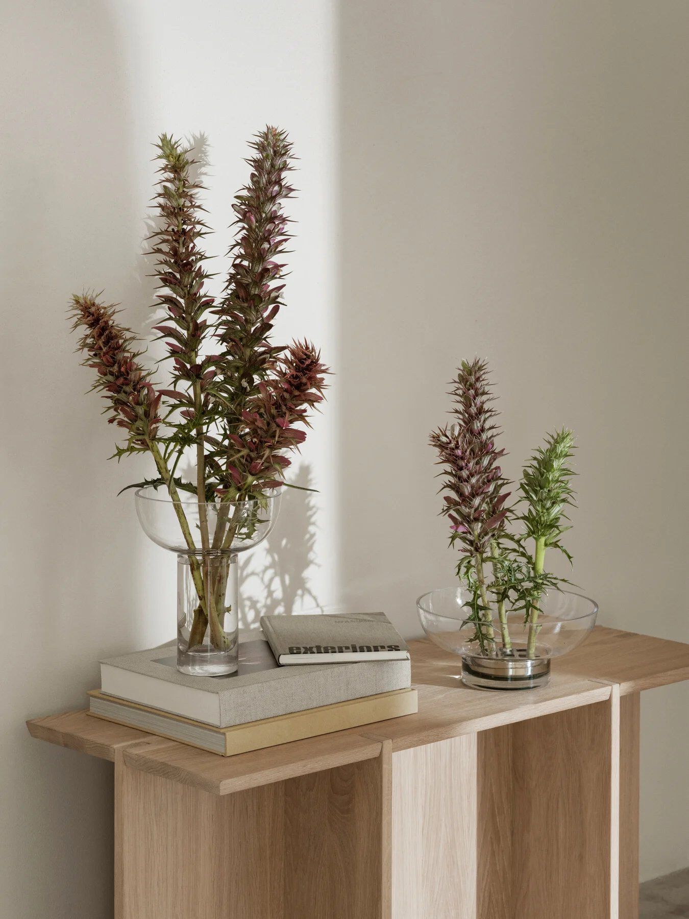 Дубовая скамья blomus Engawa ARCH-00098468 - Вид №3