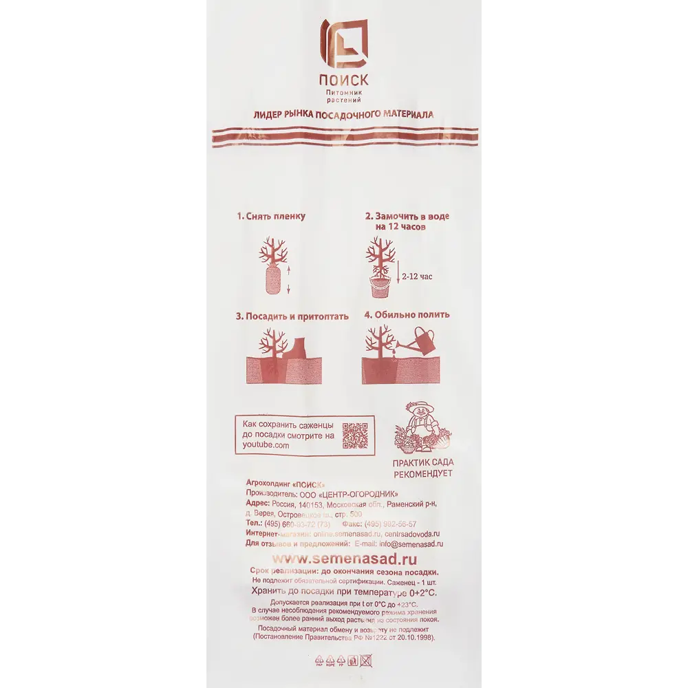Яблоня Папировка h90 см 83791266 STLM-2030899 Santreyd  - Вид №3