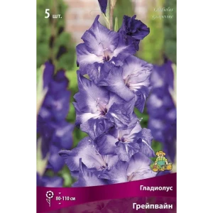 Гладиолус крупноцветковый Грейпвайн, 5 шт. 89351787 STLM-2090985
