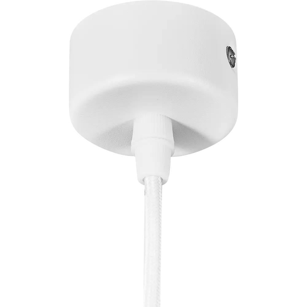 Светильник подвесной Sadr 1 лампа 2 м² цвет белый Arte Lamp STLM-2159875 - Вид №4