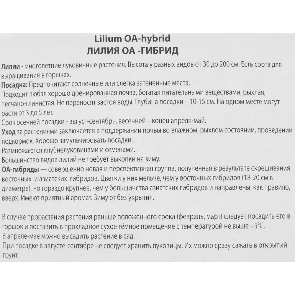 Лилия оа-гибрид Филдз Оф Голд 85205728 STLM-2090466 ПОИСК  - Вид №2