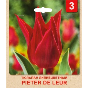 Тюльпан «Peter De Leur» размер луковицы 10/11, 3 шт. 82365346 STLM-2107504