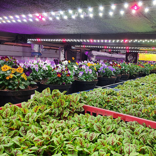 3543 Комплект Quantum line 115 см LAB.Space  - Вид №4