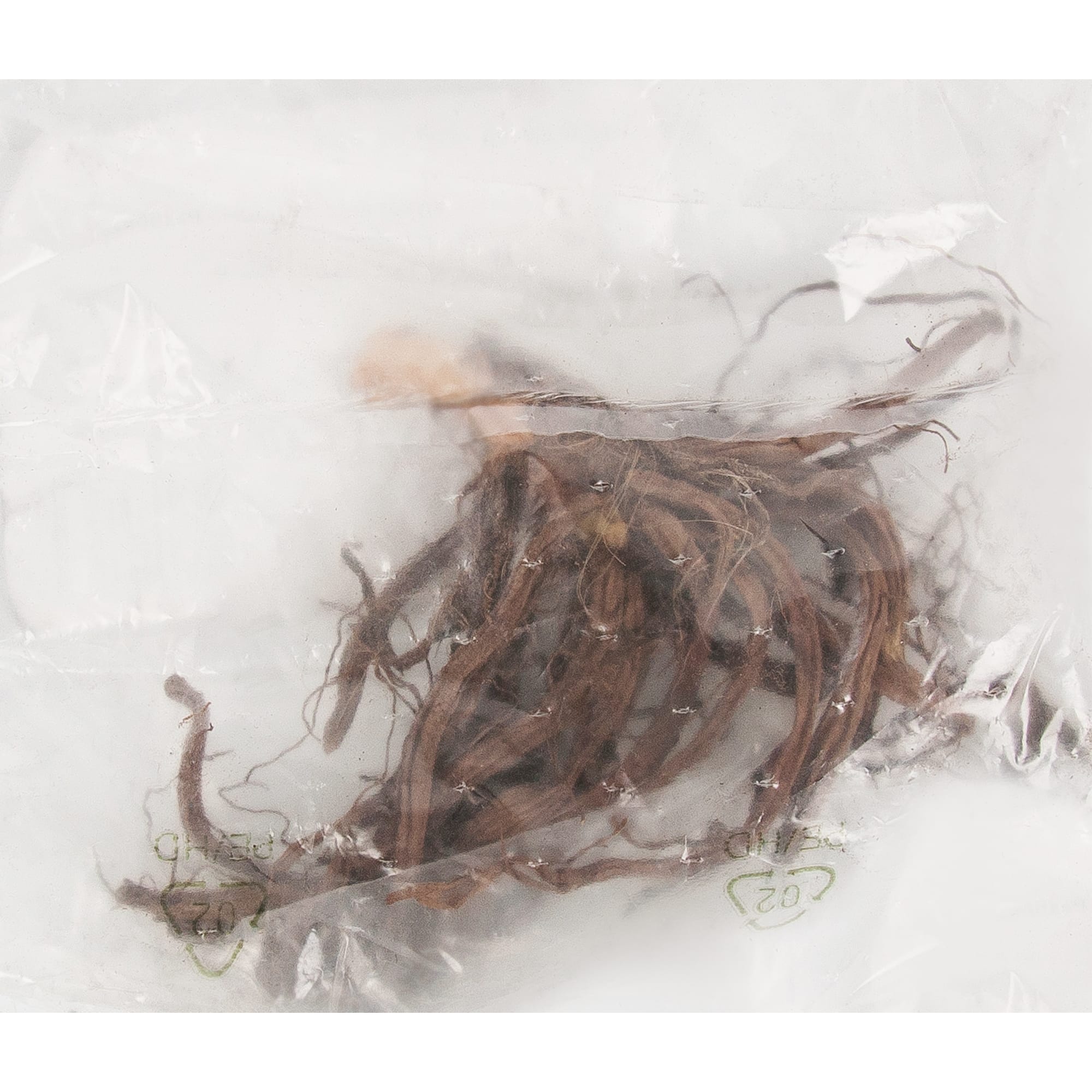 83761010 Лилейник Фулд Ми луковица 5/6 Santreyd  - Вид №2