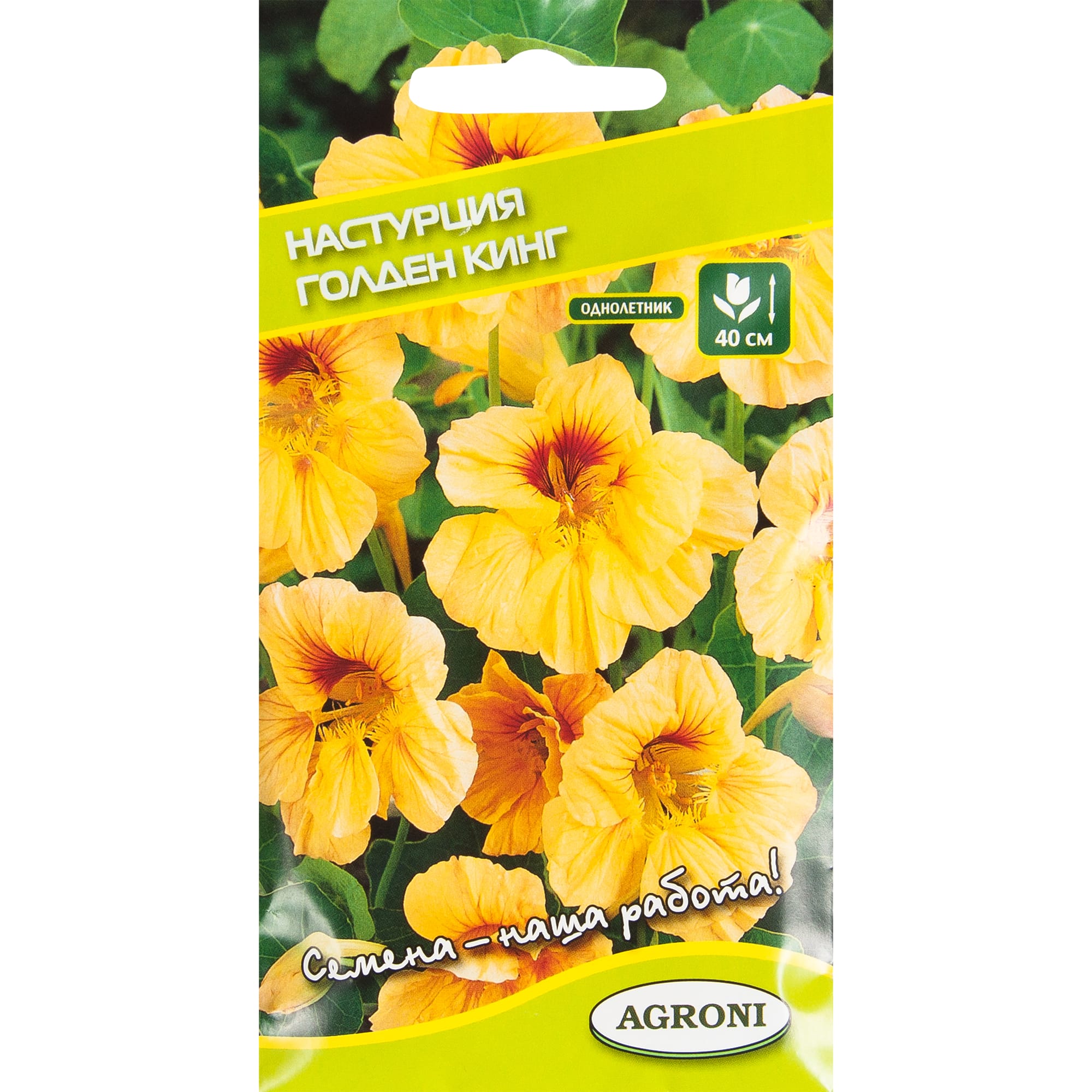 13842389 Настурция «Голден кинг» Santreyd 
