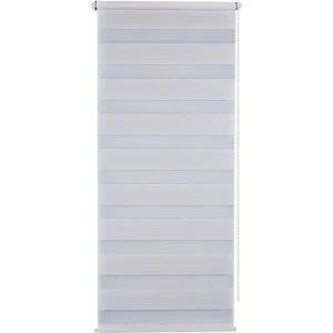 Штора рулонная день-ночь Silver 60x160 см молочная 82614415 STLM-2200399