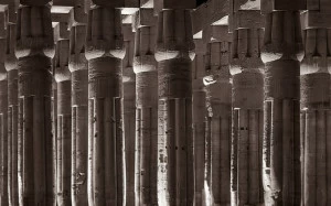 Фотокартина 52х100 см "Лотосы" PANKOVSKY STUDIO ПЛАСТИФИКАЦИЯ 015932 Бежевый;коричневый