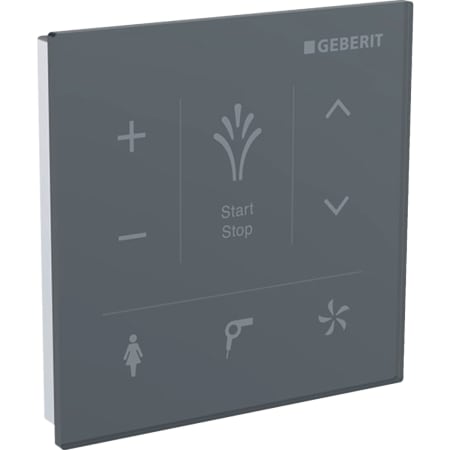 147.038.SJ.1 Настенная панель управления для Geberit AquaClean Geberit  - Вид №4