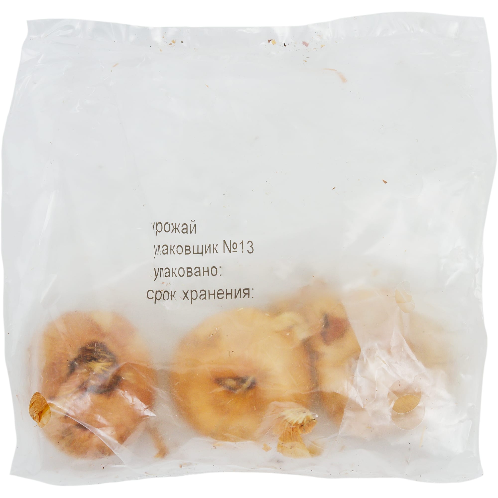 82118687 Гладиолусы бамбино «Примадонна», размер луковицы 10/12, 3 шт Santreyd  - Вид №1