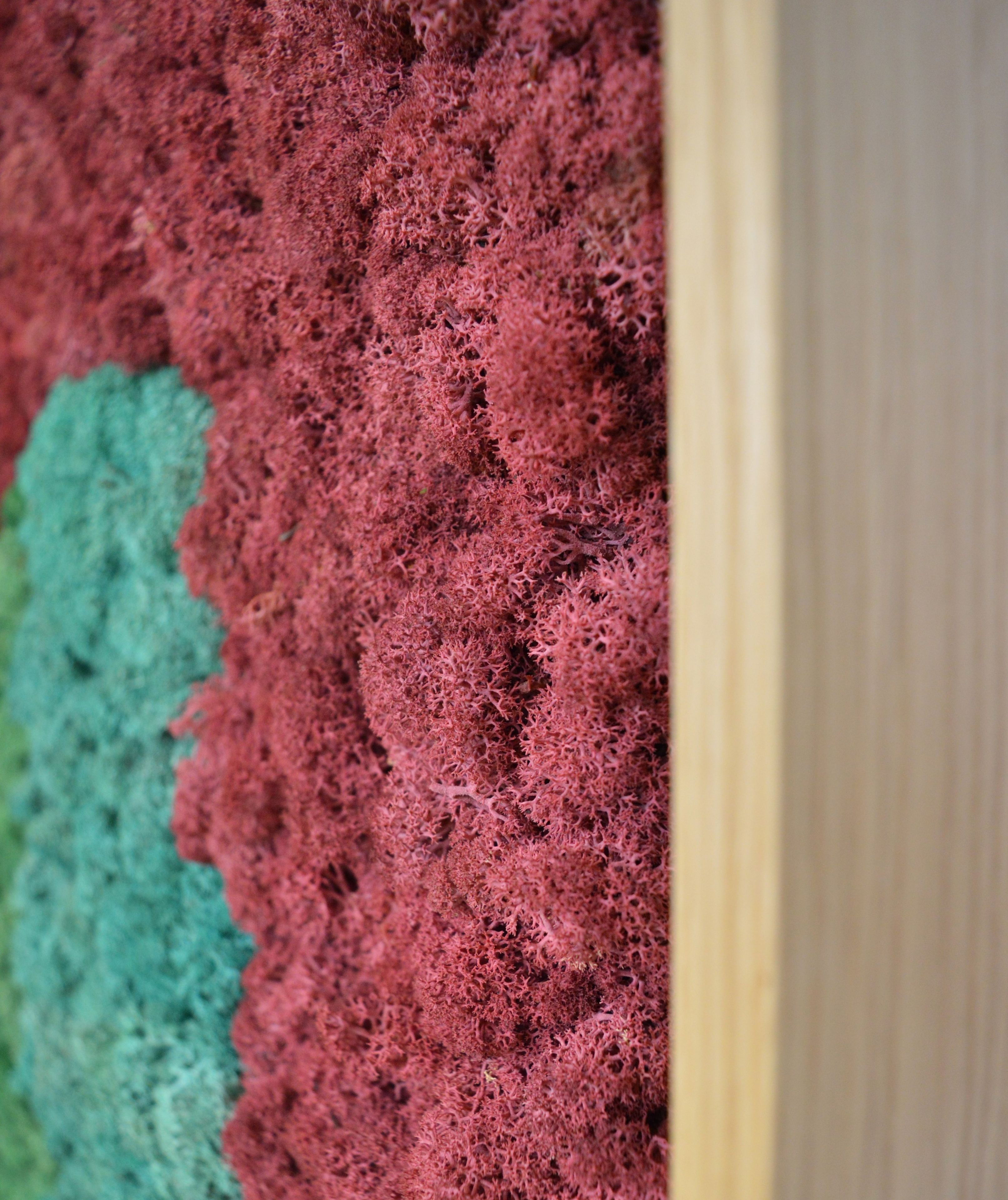 Акустическая панель из мха GREENMOOD FRAMED SYNERGY ARCH-00061647 - Вид №11