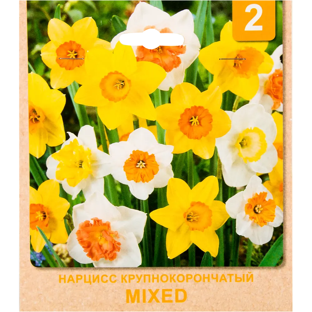 Нарцисс крупный «Mixed» размер луковицы 12/14, 2 шт. 82365237 STLM-2083673 Santreyd 
