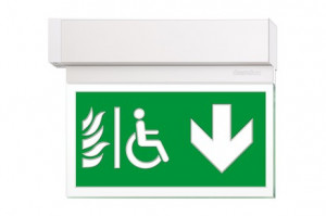 DST-2015 Ikusmet 2211-b Daisalux Светильники сигнальные Белый