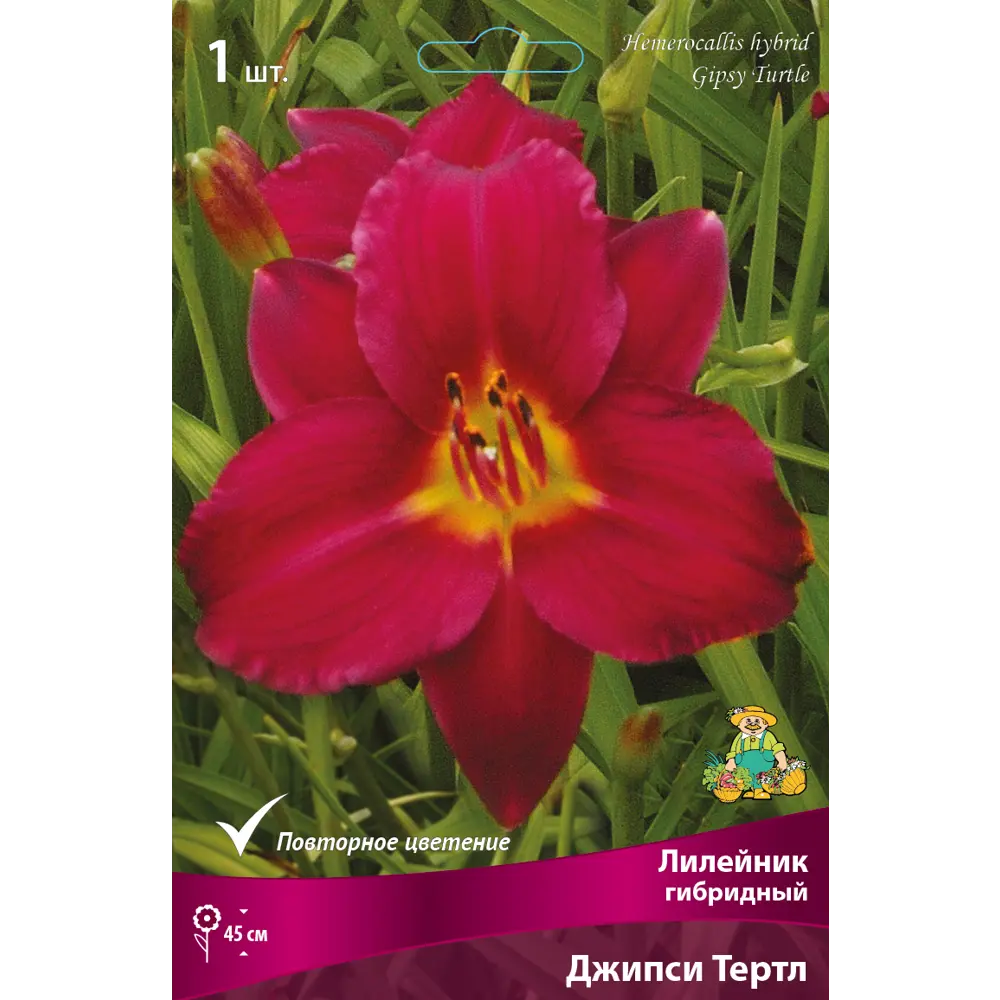 Лилейник гибридный «Джипси Тертл» 82530256 STLM-2166312 Santreyd 