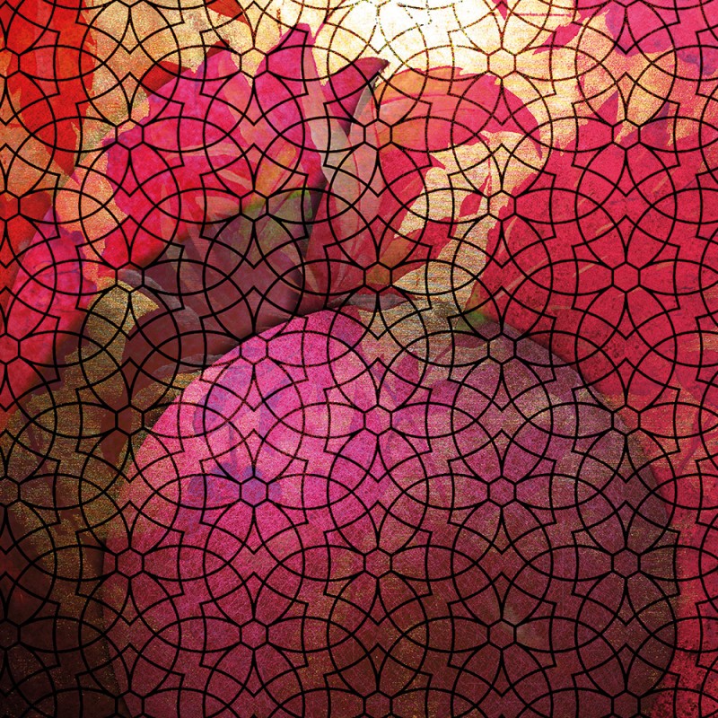 2252/CX38 Картина 2252 Adriani e Rossi 