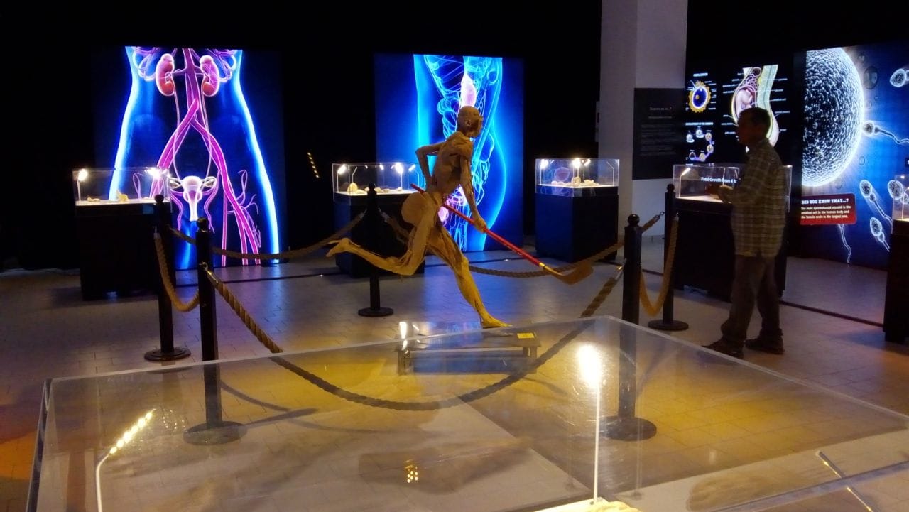 Алюминиевая и тканевая система для музейной отделки ABS Group ALLESTIMENTI PER MUSEI ARCH-00107562 - Вид №13