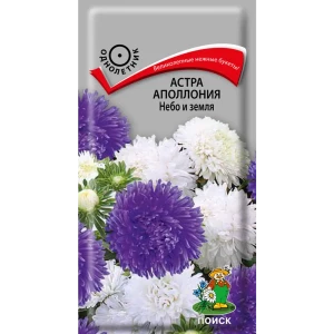 Семена цветов Поиск астра Аполлония Небо и земля