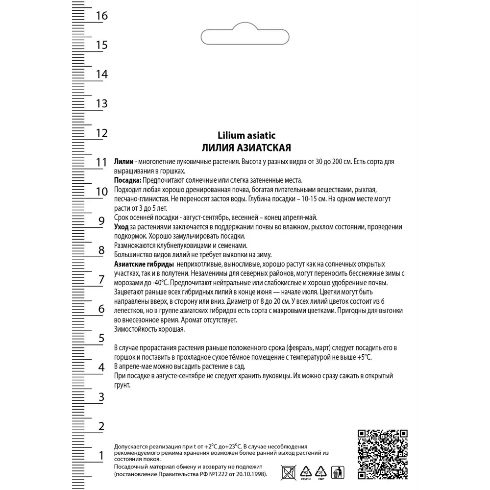 Лилия азиатские для патио «Тайни Гоуст» 82530222 STLM-2040764 Santreyd  - Вид №1