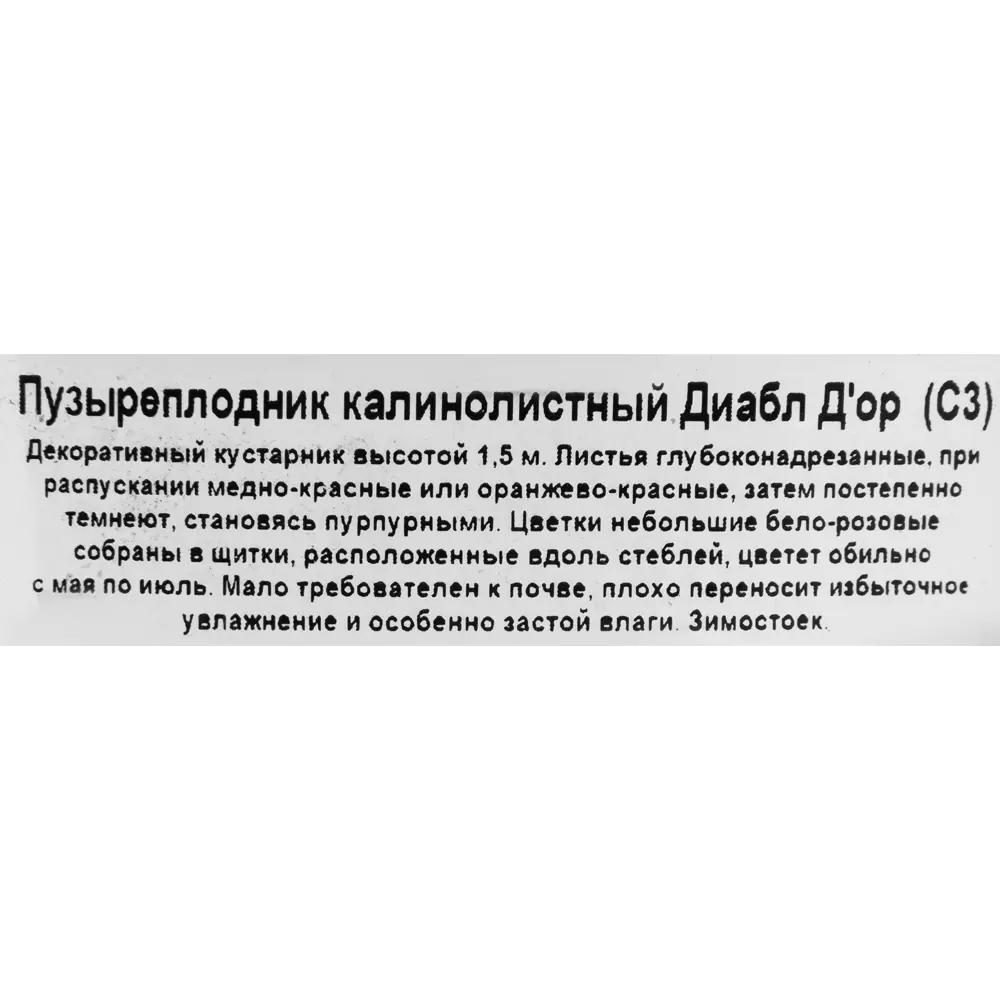 Santreyd Пузыреплодник Диабло - декоративный кустарник с пурпурной листвой 82585555 STLM-0030770 - Вид №1
